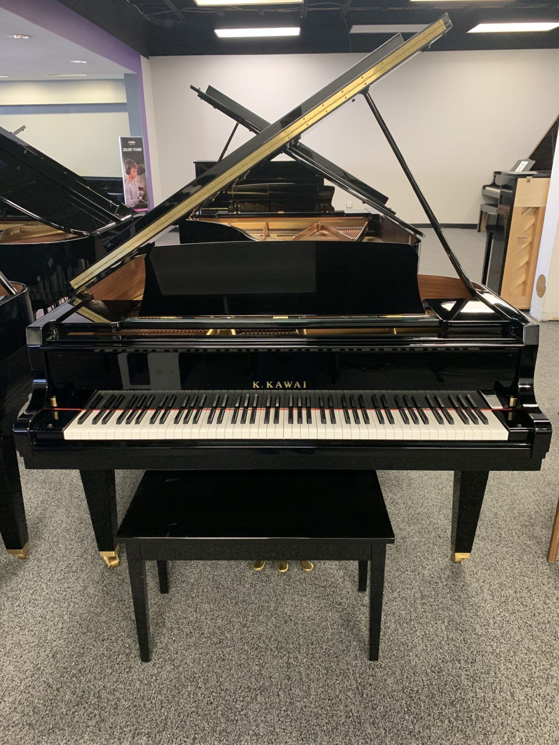 2017 Kawai GL20