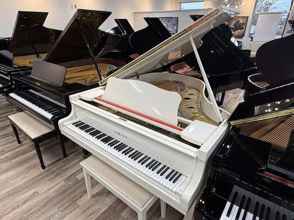 1977 Yamaha G2WH
