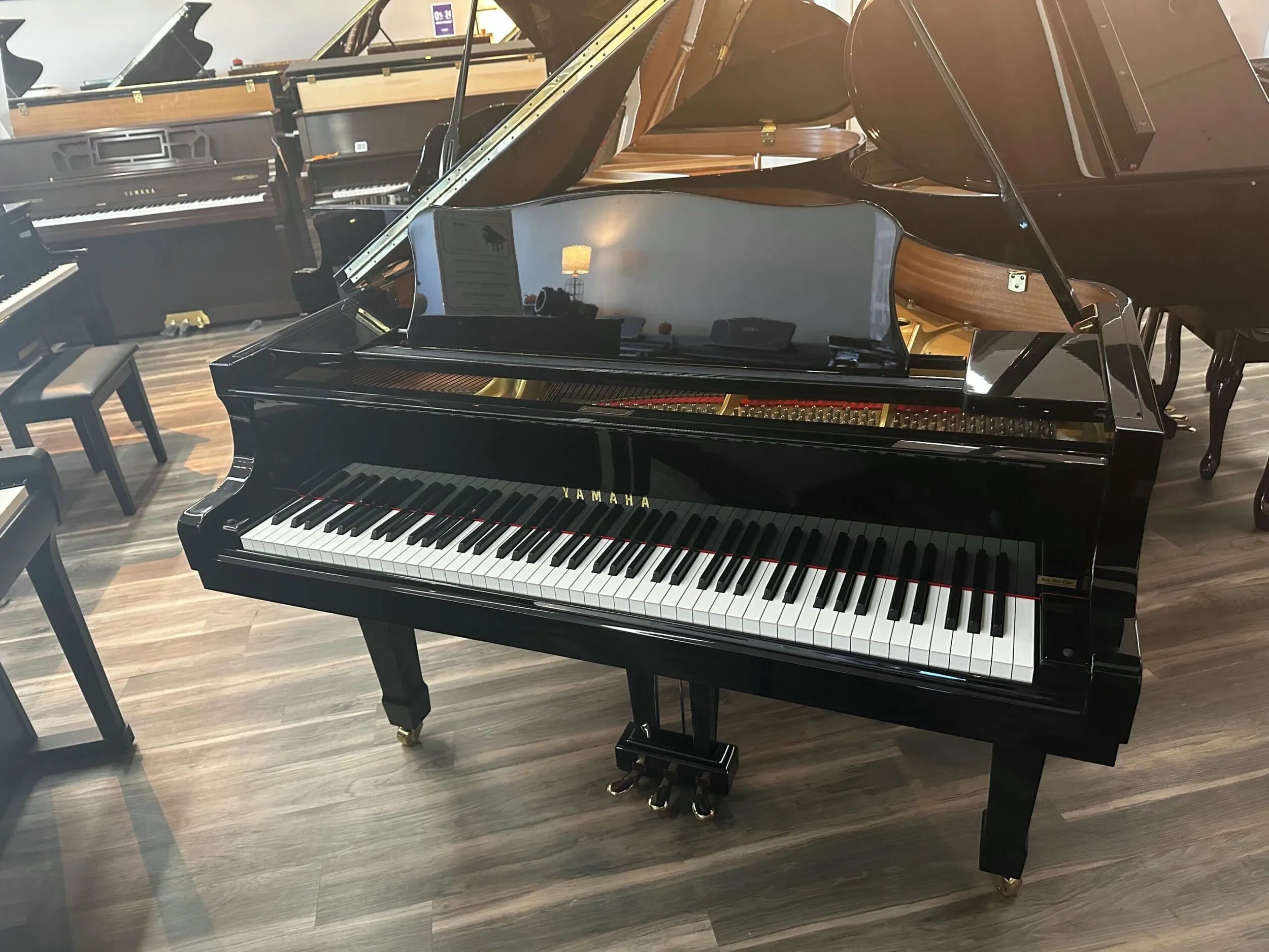1995 Yamaha G2 PE