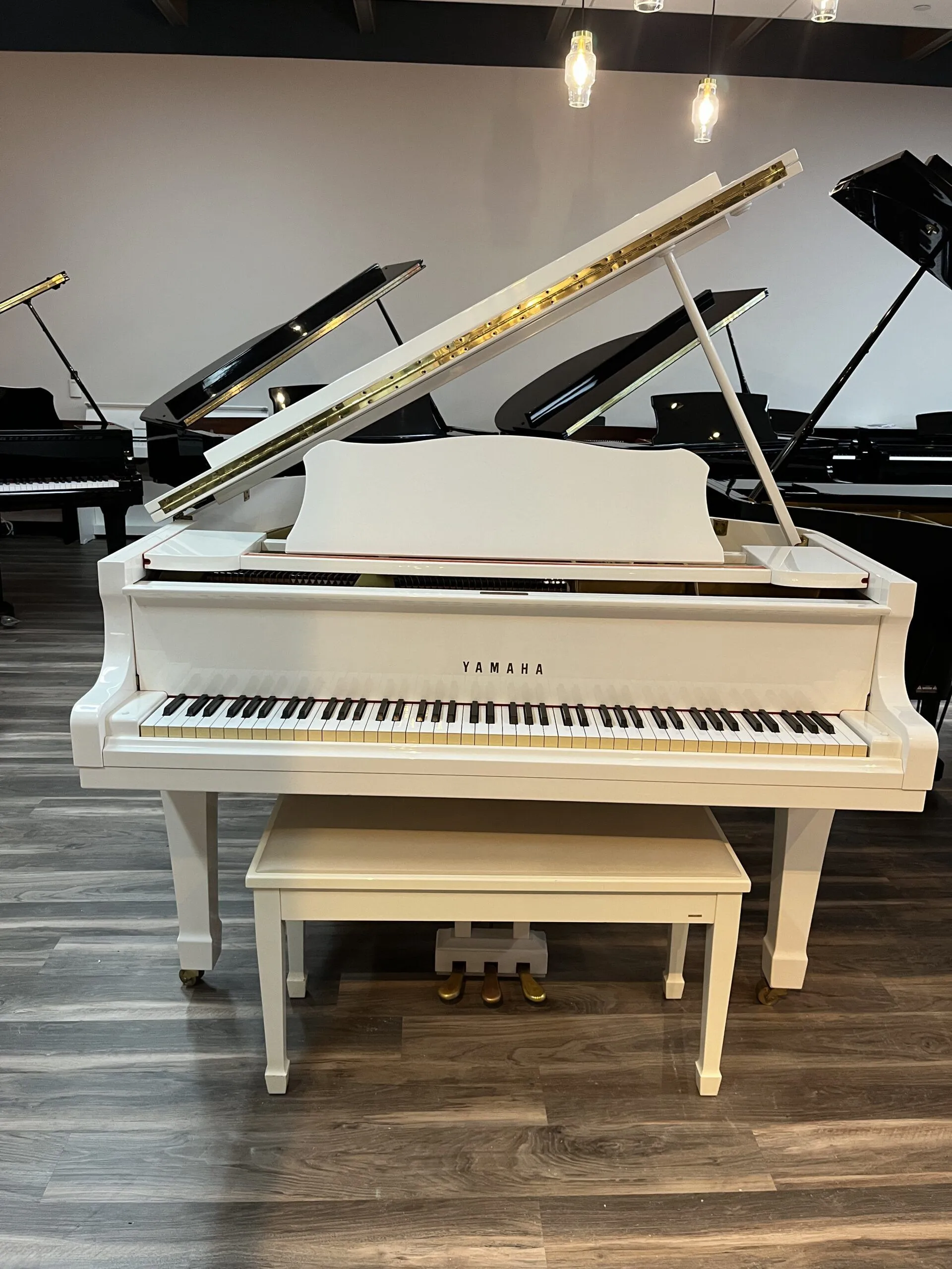 Yamaha G1