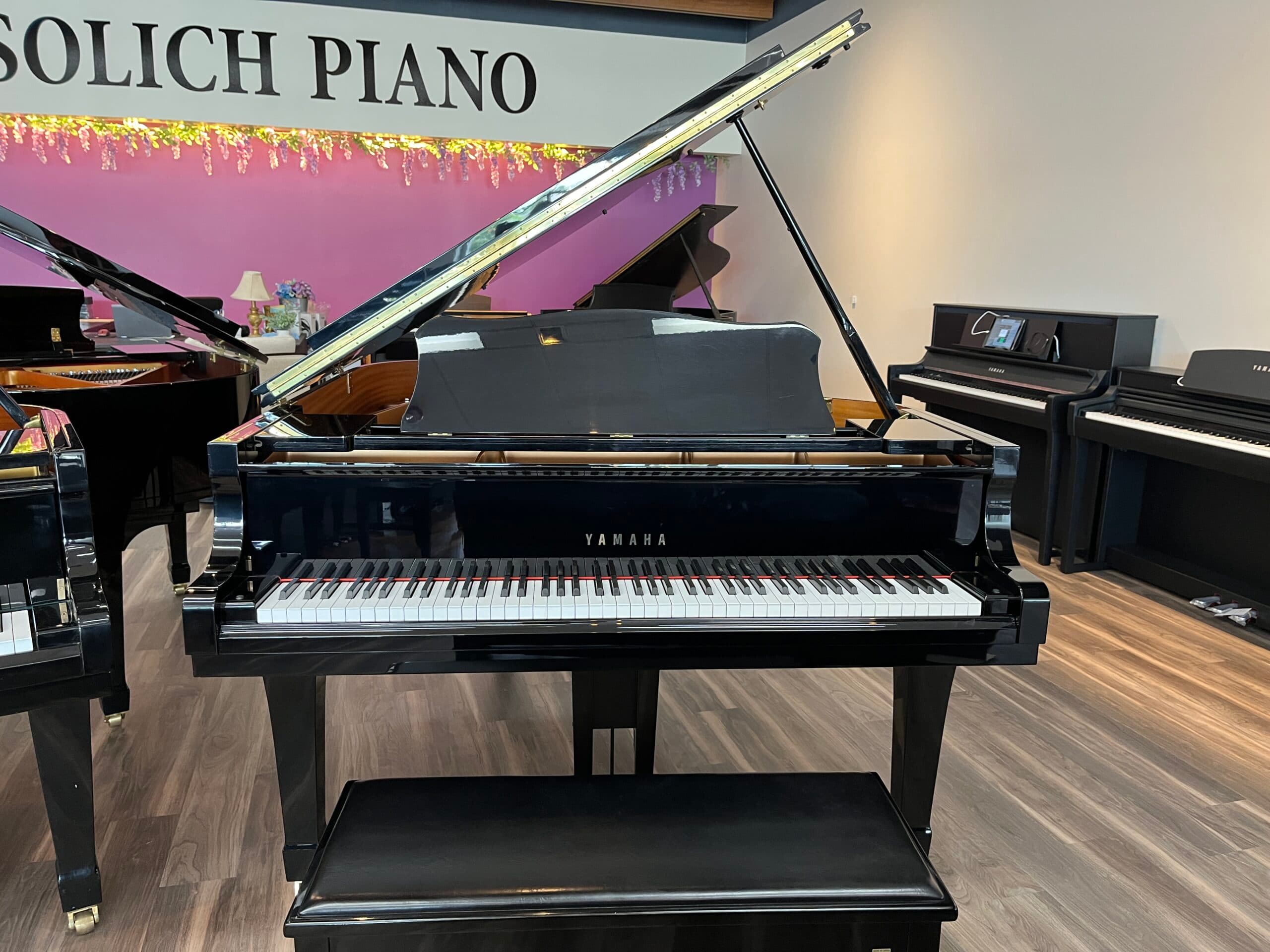 1995 Yamaha C2