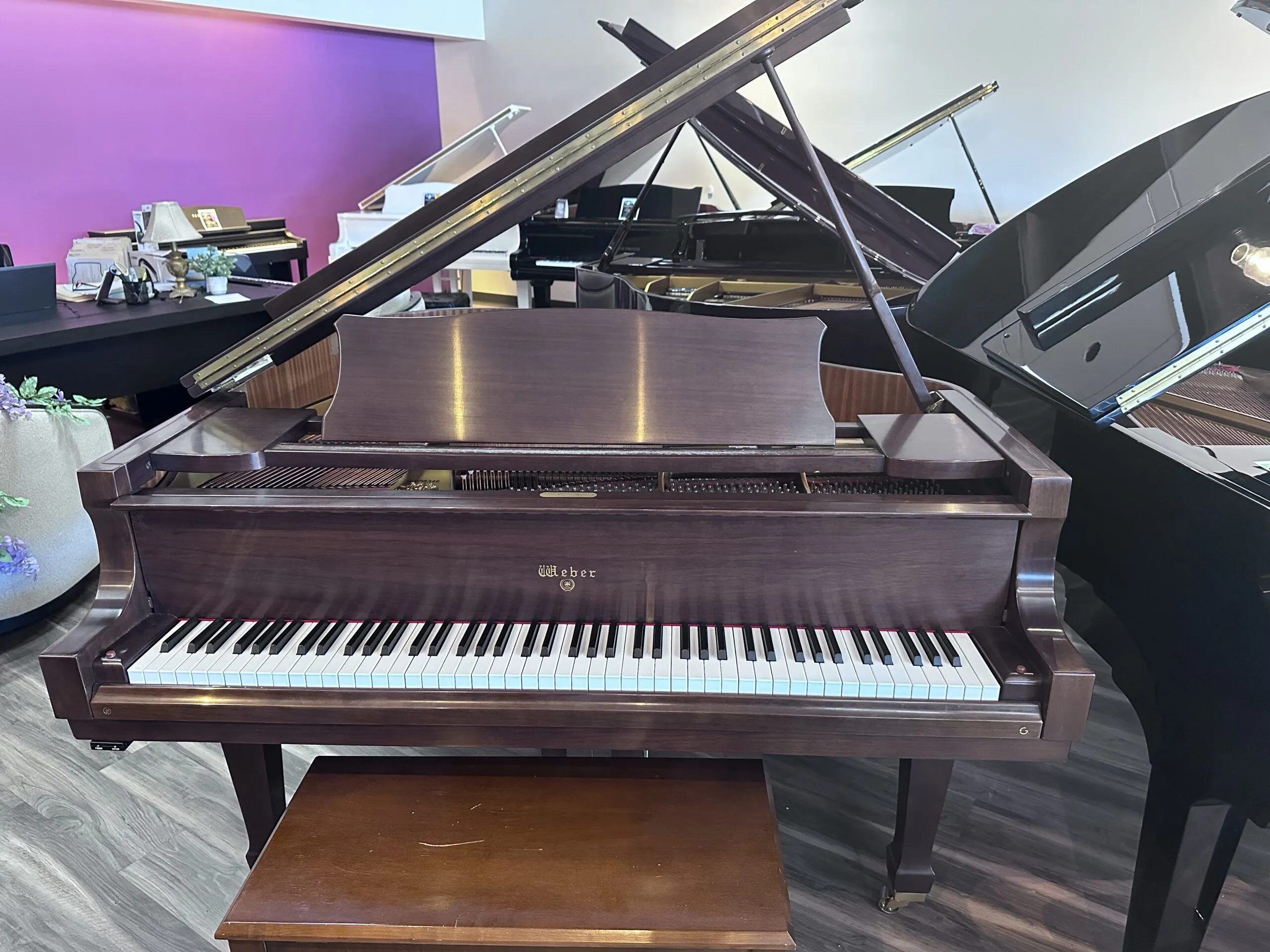 1988 Weber WG51