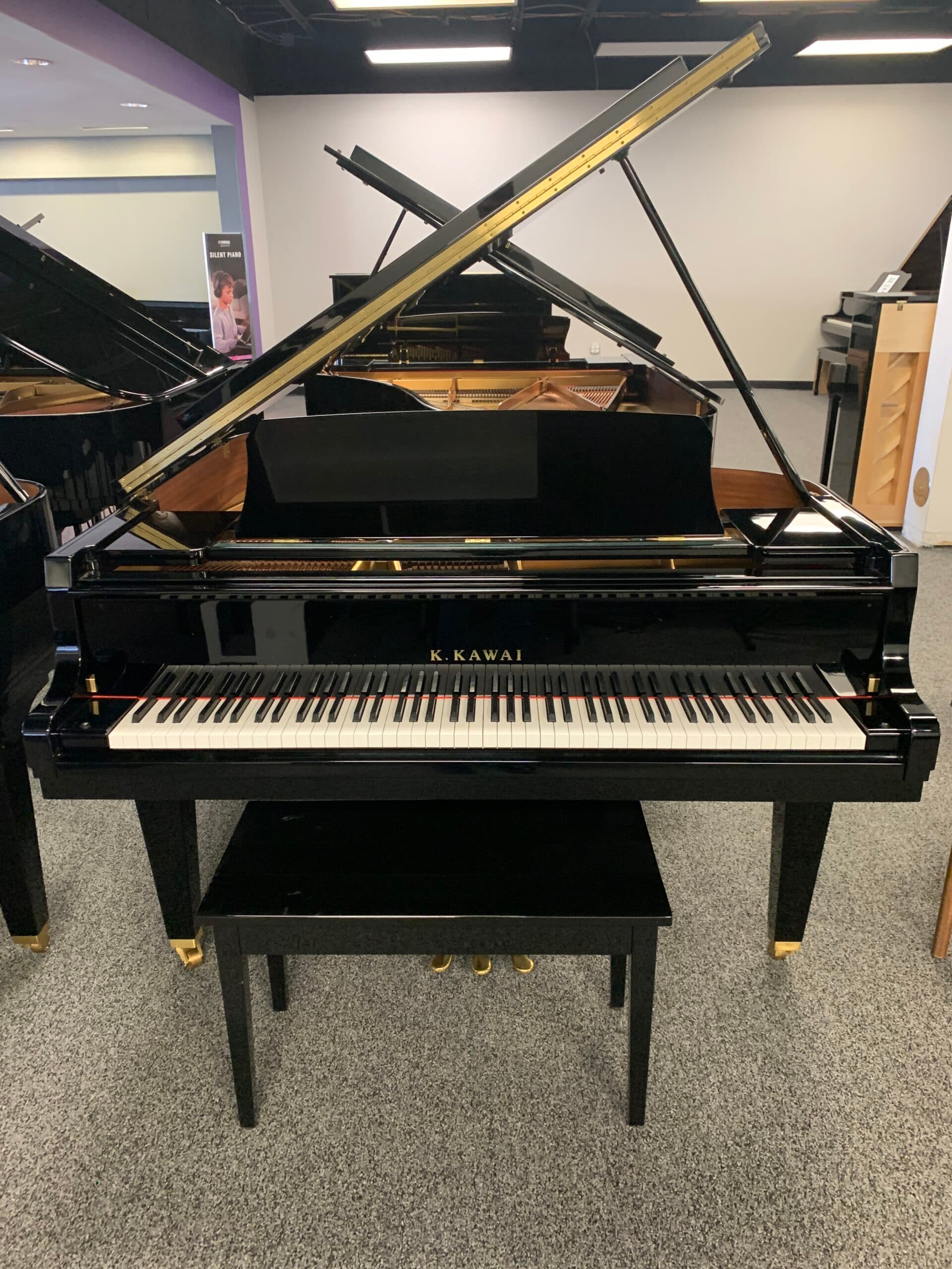 2017 Kawai GL20