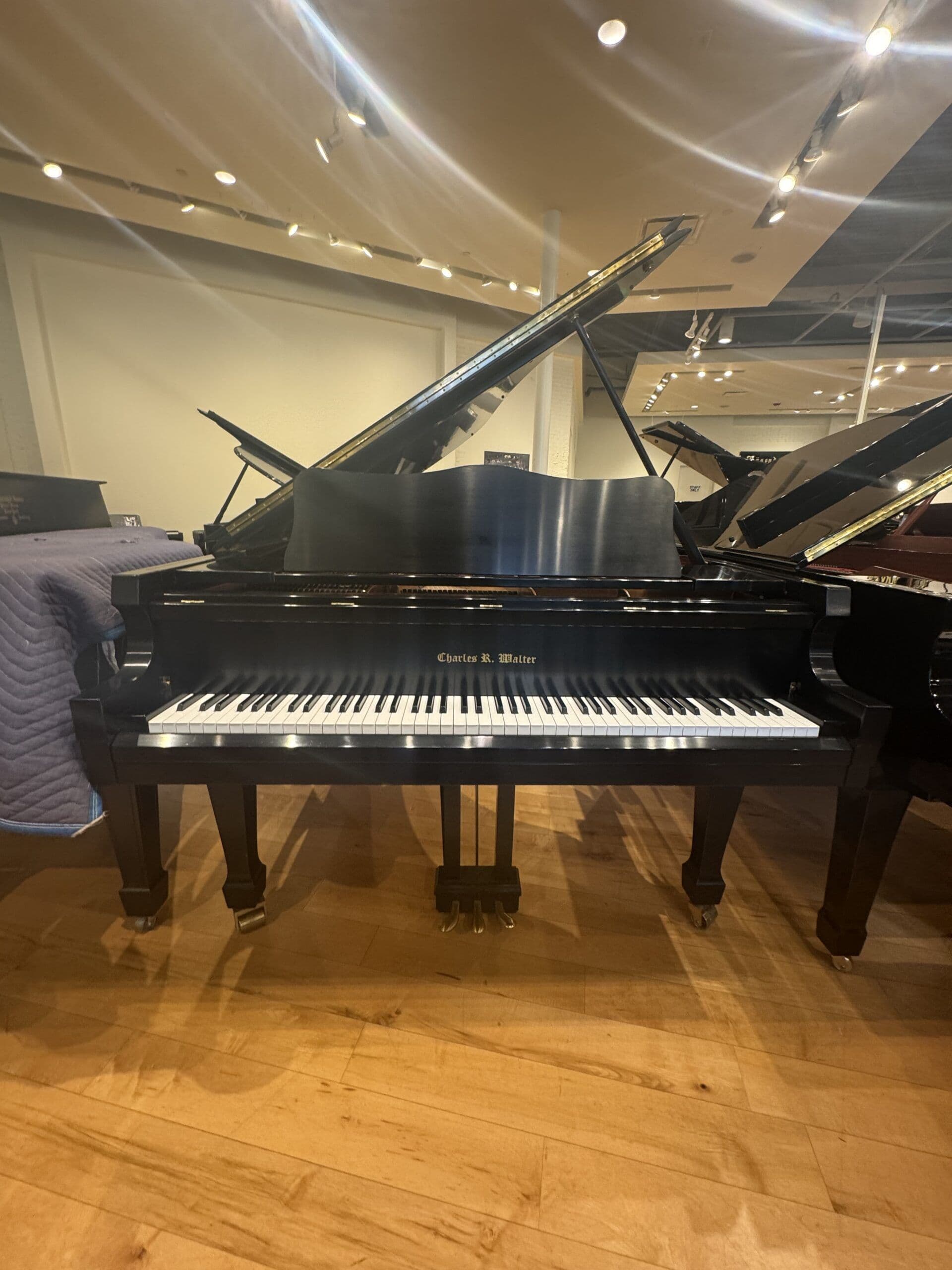 2006 Charles R Walter W190
