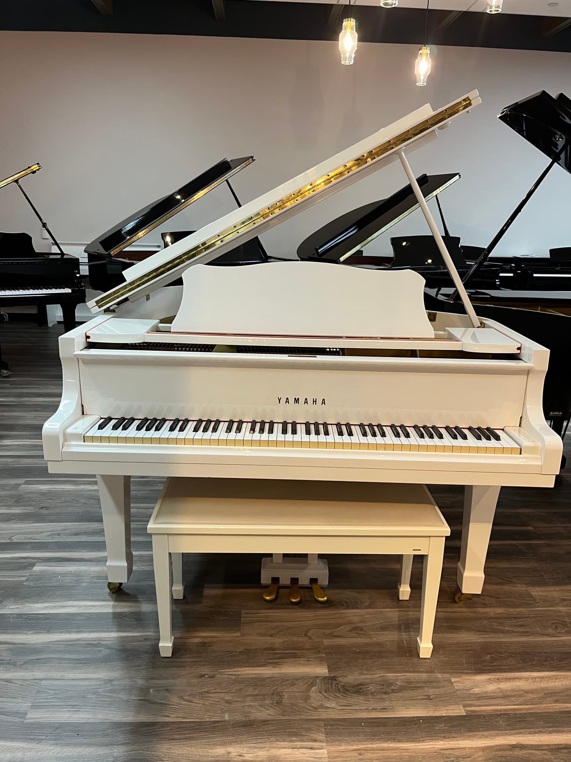 Yamaha G1