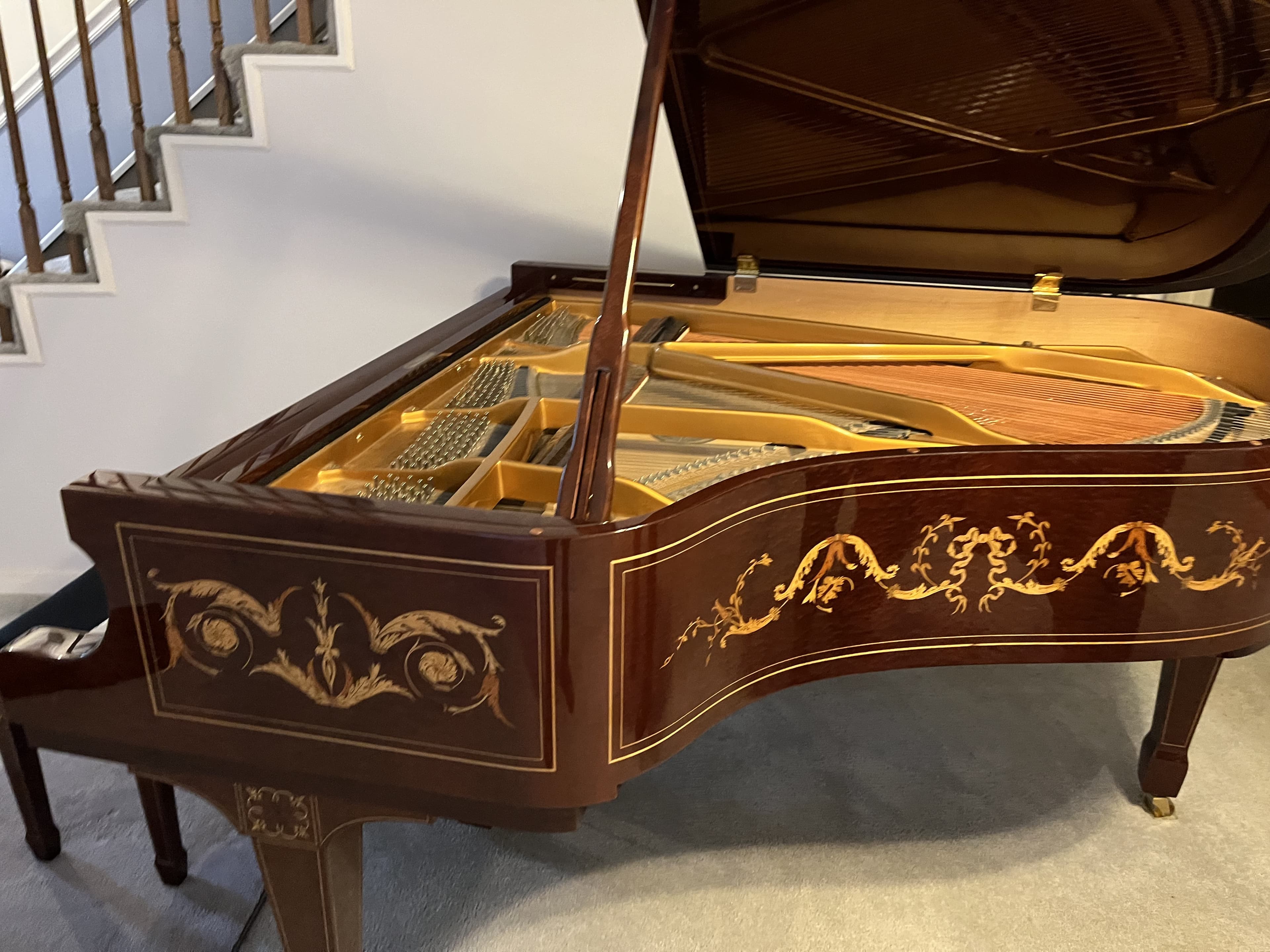 2002 Schimmel V177 (5'10")