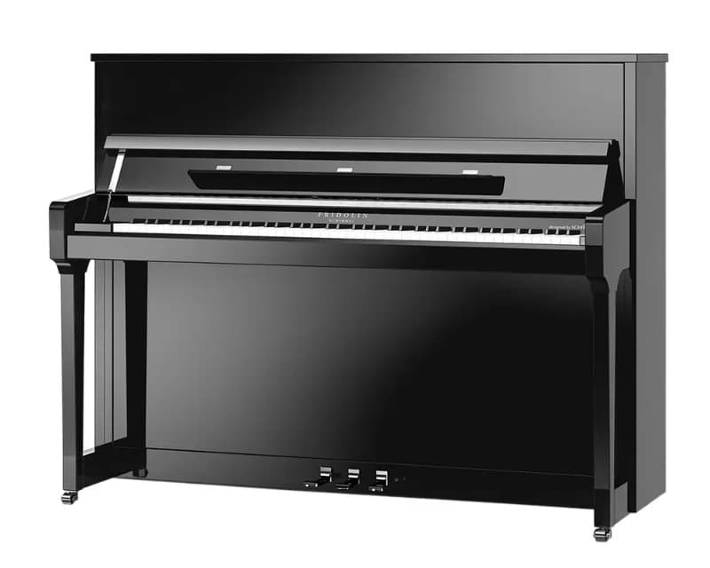 Schimmel F116T Fridolin — photo 1 of 4