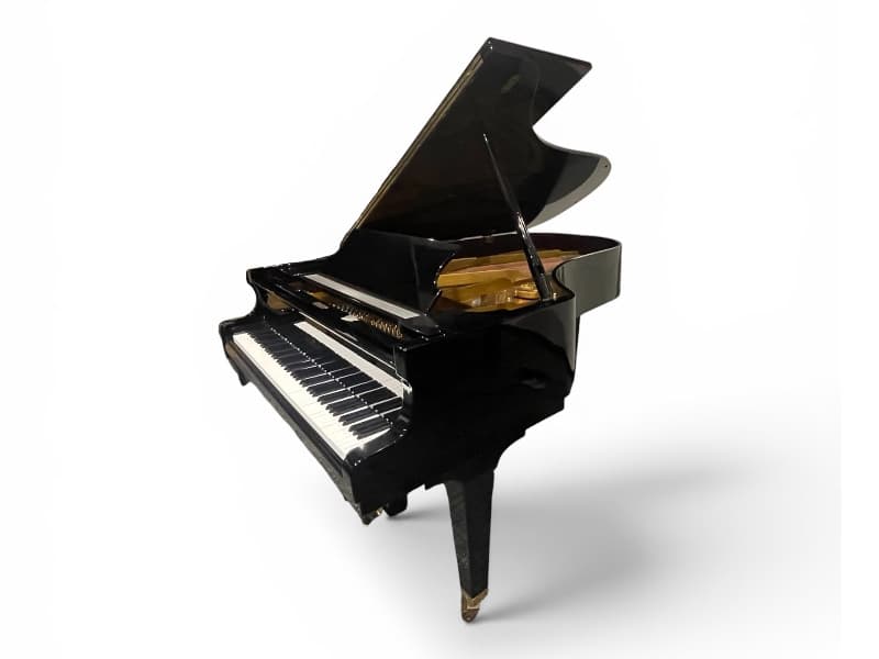 1986 Schimmel 208