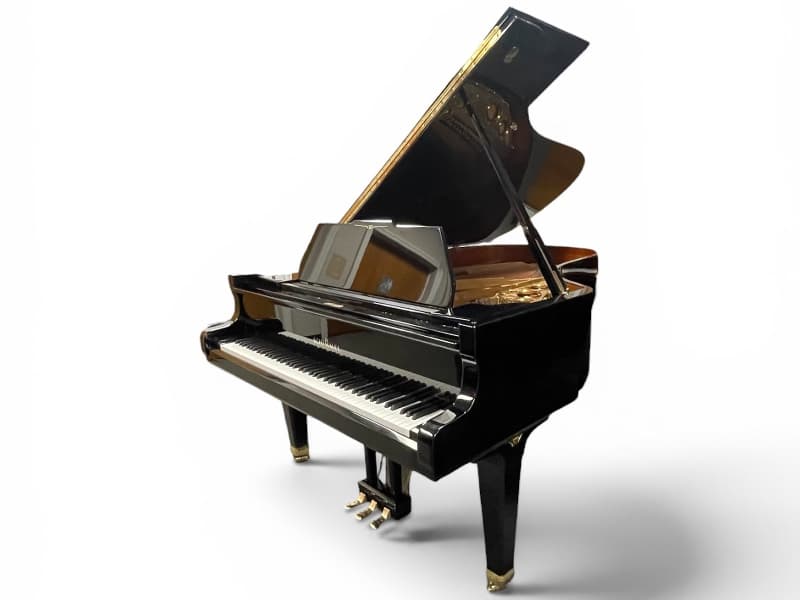 1995 Schimmel 208 Limited Edition