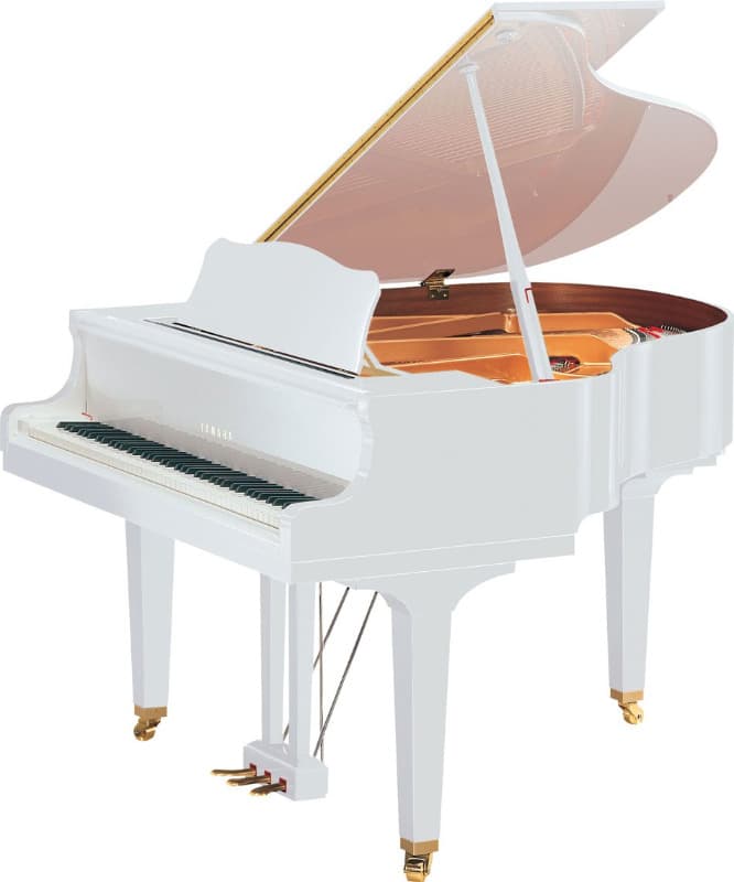 Yamaha GB1K