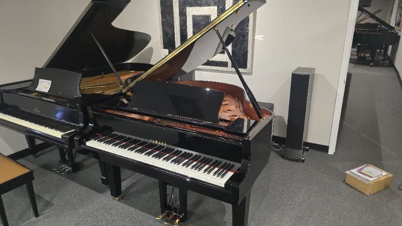 Yamaha DC1X - Player — photo 1 of 4