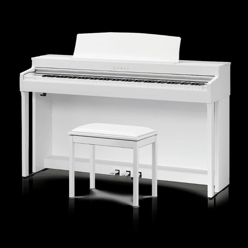 Kawai CN301