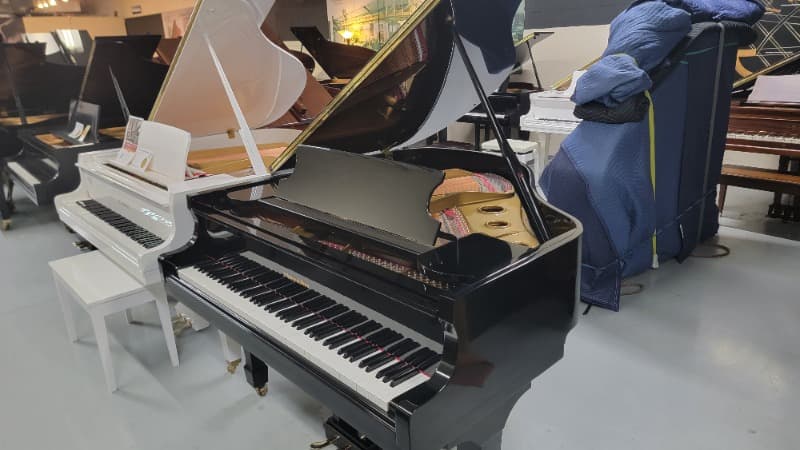 1986 Schafer and Sons SS-51