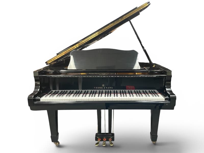 1985 Young Chang G-157