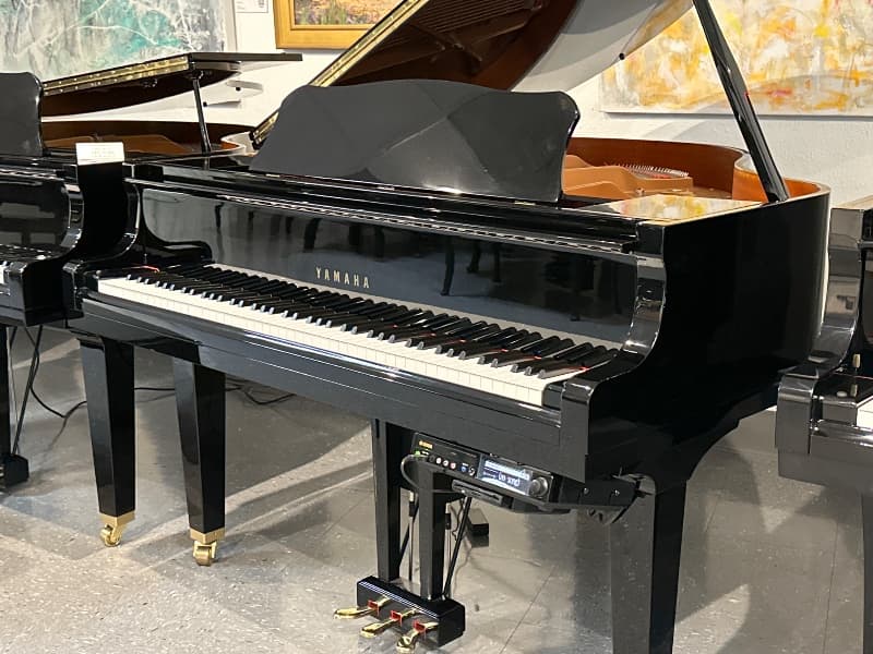 2007 Yamaha DGB1 - Player — photo 1 of 1