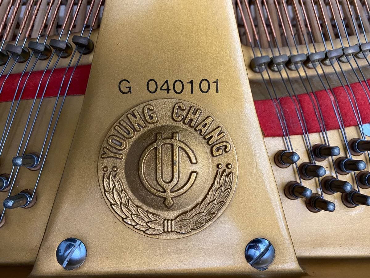 1986 Young chang g150