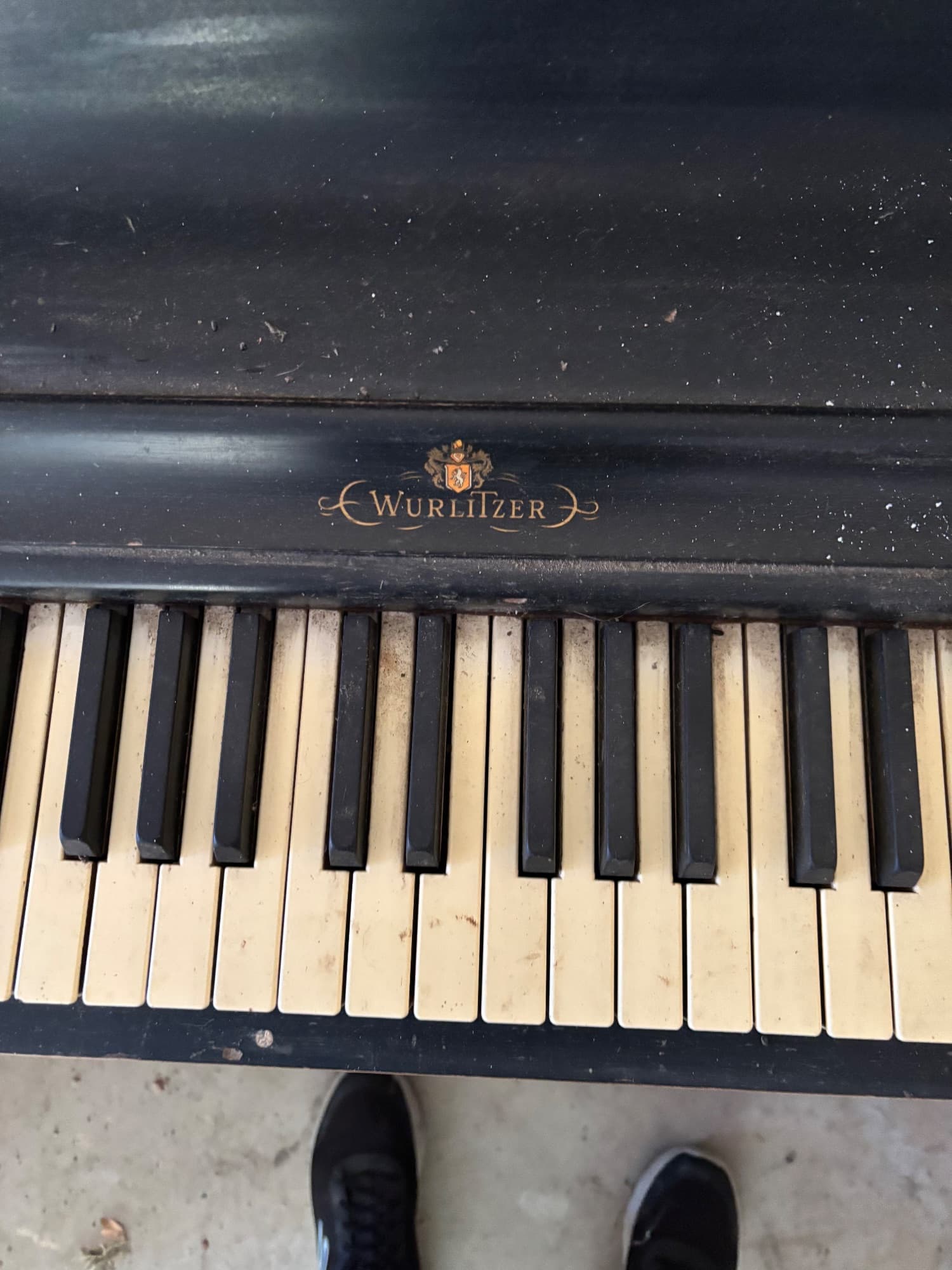 Wurlitzer 784-842