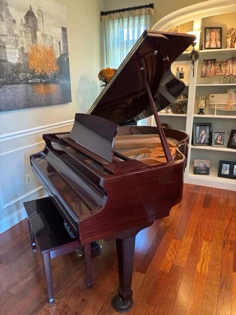 2010 Story and Clark Story & Clark H60 Player Grand
