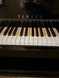 Yamaha C1