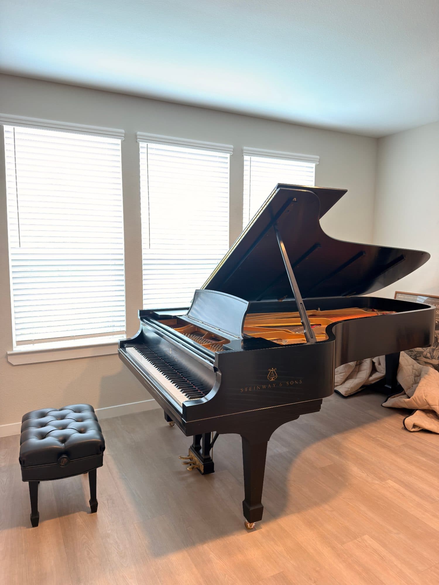 2007 Steinway & Sons Model D